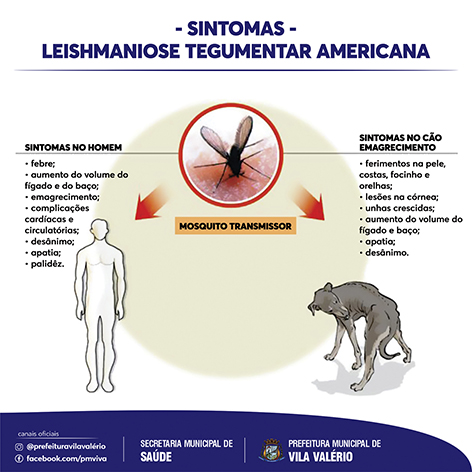 PMVIVA Leishmaniose Tegumentar Americana